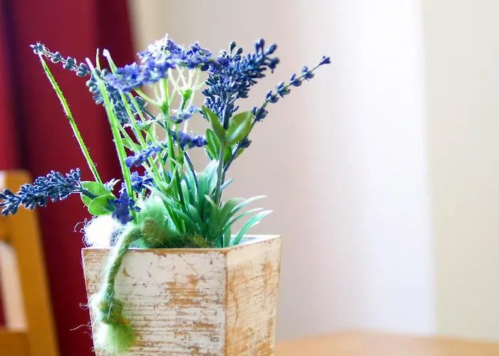 Gaestehaus Am Wasserpark 게스트하우스